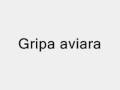 Gripa-aviara