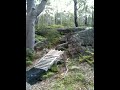 Clare does the big drop (2)