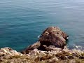 KEMPINSKI Smokvica Skocidjevojka
