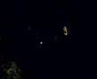 videos de efteling