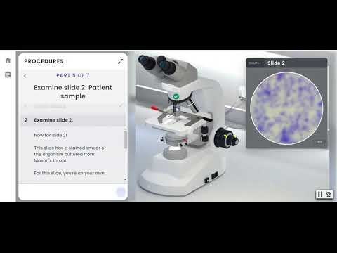 Pearson Interactive Labs | Microscopy (for Microbiology)