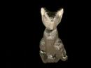 Francesca's cat 4