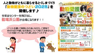 動画のサムネイル
