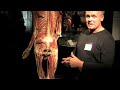 Resolving Low Back Pain - A Kinetic Chain Approach