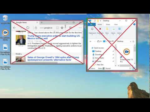 Capture multiple windows - ScreenHunter 7