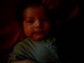 videos de Baby Paulie