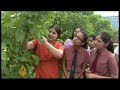 India's biofuels industry under scrutiny - 11 Jun 08
