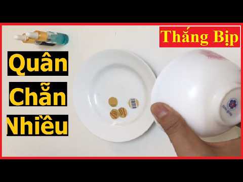 Xóc Đĩa Bịp Không Tang