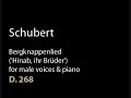 Schubert D 268 Bergknappenlied ('Hinab, ihr Brüder').wmv