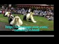Many Japanese girls -- sword fight -- Ayaori Shishi-Odori