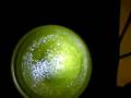 videos de test woofer---water effect!!! By peppe
