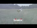 Silverlit I-Bird
