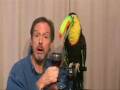 videos de Khevin Barnes and Socrates sing Toucan Wines