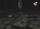 Video screenshot