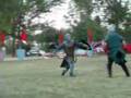 szabadvívás - free-style fighting - vívás