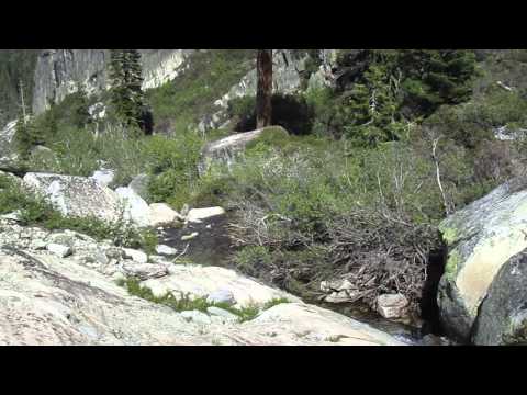 Gold Lake Trailhead runoff stream in Plumas National Forest