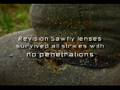 Shotgun Blast Test-- Revision Vs. Oakley