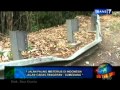 On The Spot 7 Jalan paling misterius di indonesia