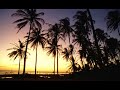 Feliz com a Vida