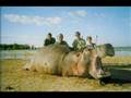 Africanism Allstars - Summer Moon(animals)