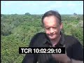 Forests Now IV5