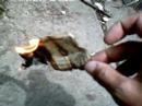 Finishing off a dollar