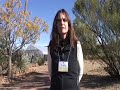 Review of Conscious Eating Tree of Life Experience