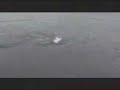 Video en el lago ness [http://shadowng.wordpress.com]