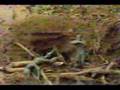  - Piczo Movies Video