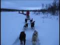 Hundelinja på tur! Hundelinja på tur!