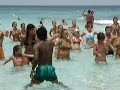 animazione viva
