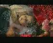 ABDURRAHMAN �N�L - Kanayan Yara Filistin