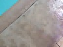 traite a la piscine