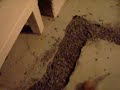 Basement Waterproofing,MA Step 2 Basement Waterproofing,MA Step 2