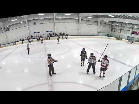 Brantford 99ers #17 Liam Wouters vs Burlington Eagles December 29, 2024 Highlights