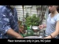 How to can tomatoes with a pressure cooker by Natures Friends
