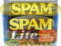 Wierd Al Yankovic - Spam