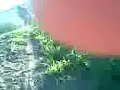 mecomoto dunas