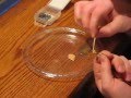 Tying A Bonefish Bitter