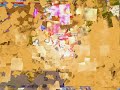 Trickster Soki Hunt