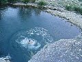 Salto jubera