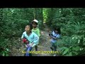 Ebiet G Ade - Berjalan Di Hutan Cemara - Unplugged