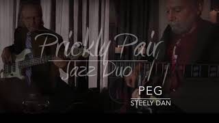 Prickly Pair Jazz Duo - Contemporary