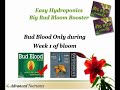 Easy Hydroponics--Big Bud Bloom Booster Easy Hydroponics--Big Bud Bloom Booster