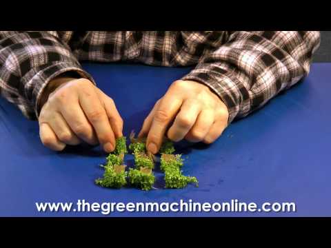 how to grow hc cuba submerged