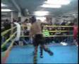 Houssein Insane Khodr Highlights