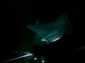 Hawaii Big Island Manta Ray Night Dive