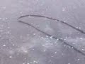 granizado en ZURGENA granizado en ZURGENA