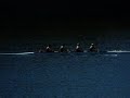 The Occoquan Chase
