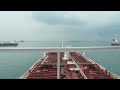 Harbour Pilot
